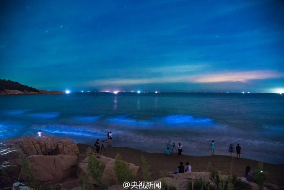 安全的港口
